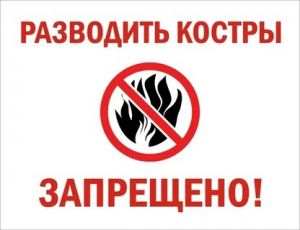 Особый противопожарный режим с 28 мая 2024 года.. Особый противопожарный режим с 28 мая 2024 года..